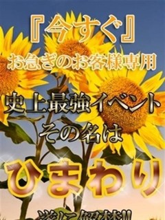 ◆ひまわり◆