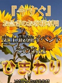 ◆ひまわり◆