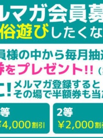 メルマガ会員募集さんの写真1枚目