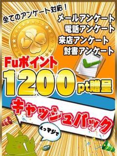 アンケートキャッシュバック