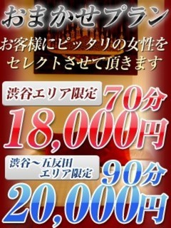 おまかせプラン