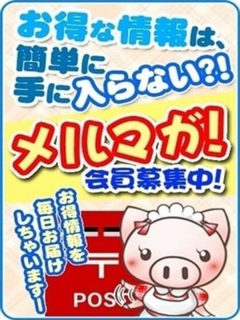 メルマガ会員様大募集さんの写真3枚目