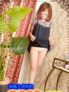 夏帆