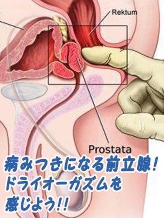 剃毛さんさんの写真1枚目
