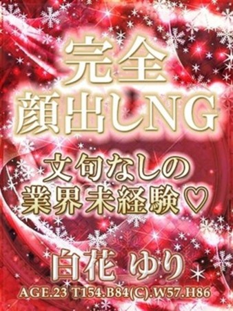 白花ゆりさんの写真1枚目
