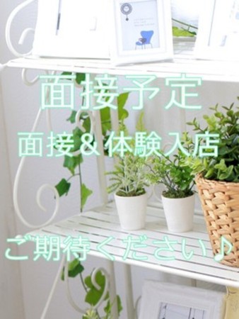 本日体験入店予定さんの写真2枚目