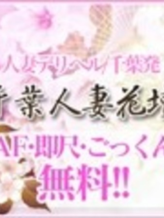 せりなさんの写真3枚目