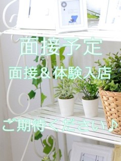 本日体験入店予定