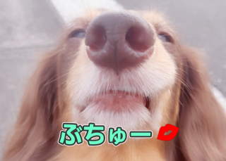20728d9f0aab43b48805a0457e20d5a3