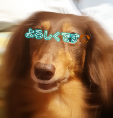 904871ed6cb2821cc35b4b91672a4324