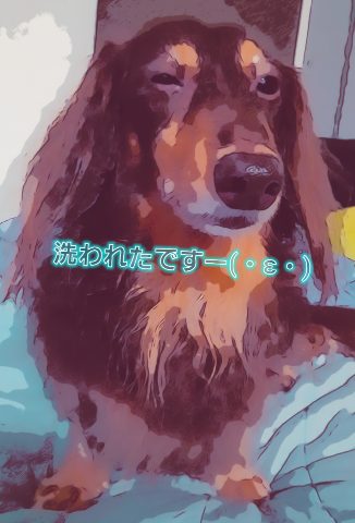F59a91b6e4f1bb43dc9549504c5d6c19