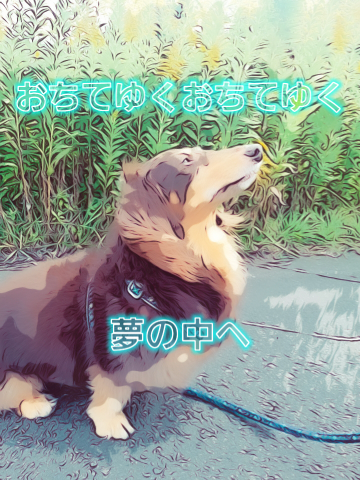 5bcf578cdd0ebf1ef5b697c5f6c8461a