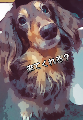 6c86bf14ba06922bae04aaf5f368b021