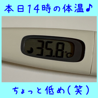 Ee8bffcb4c6c57c2bfac9b8142d9e87b