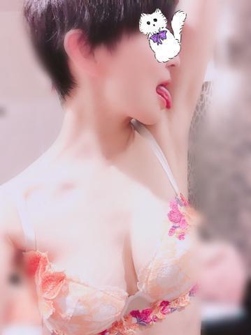 1b35a6f8b74c5e22d973ca57d7b3c15e