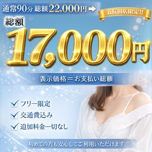 総額コミコミ 17,000円