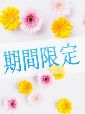 期間限定情報！！