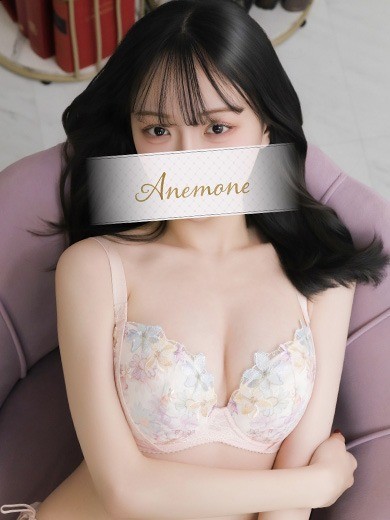 【即姫割り】最大4,000円OFF！お早目のご案内に限ります！◆◆◆◆