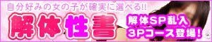 解体性書